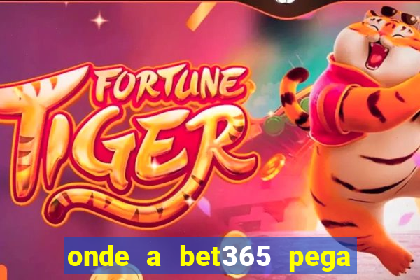 onde a bet365 pega as estatisticas